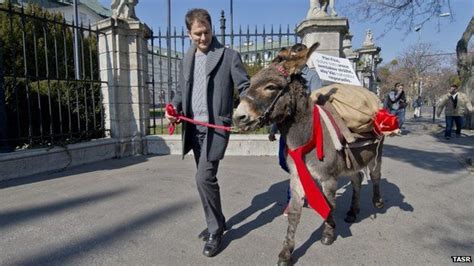 Slovakia Donkey And Potatoes Sent To Pm In Campaign Stunt Bbc News