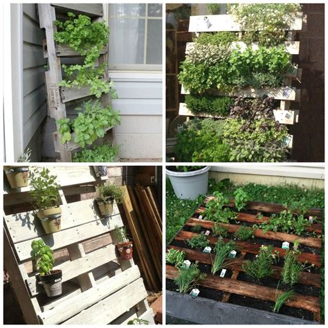 Herb Container Gardening Tips Metamorphosis Landscape Design