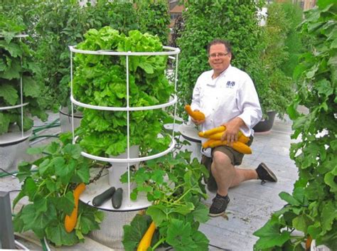 Plants grown using a hydroponic system typically have an increased growth rate and larger. Independent at Home: Six Systems for Self-Sufficient ...