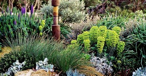 For instance, nearly every front yard benefits from utilizing a mixture of evergreens. How To Create A Native Coastal Garden | Homes To Love