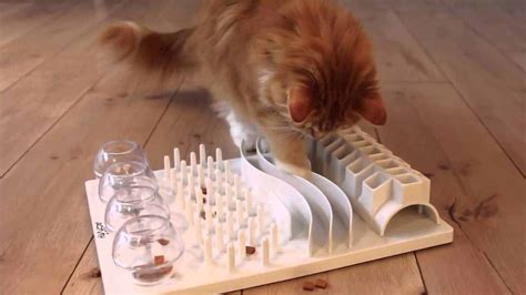 Puzzle Feeders For Cats The Cats Meow Veterinary Hospital