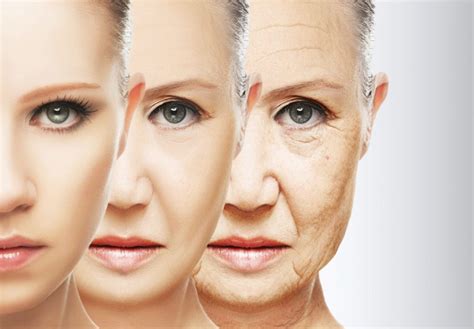 Causes Of Our Aging Skin Anti Aging Story