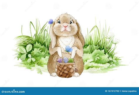 Easter Bunny On The Meadow Watercolor Illustration Funny Cute Little