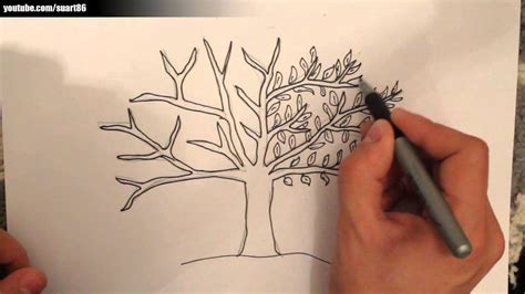 Aprende con este dibujo de arbol paso a paso. Como dibujar un arbol - YouTube