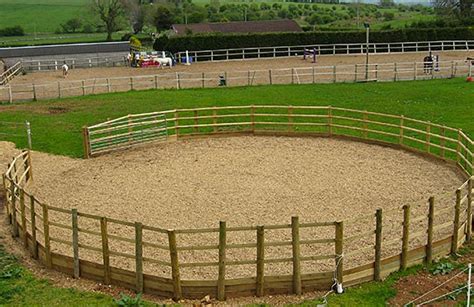 Lunging a horse is not just about walking it around in circles. Round Pen | Vale Hollow Farm Livery