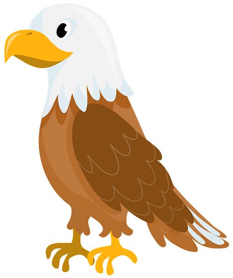 Actualizar Más De 85 Aguila Calva Dibujo Vn