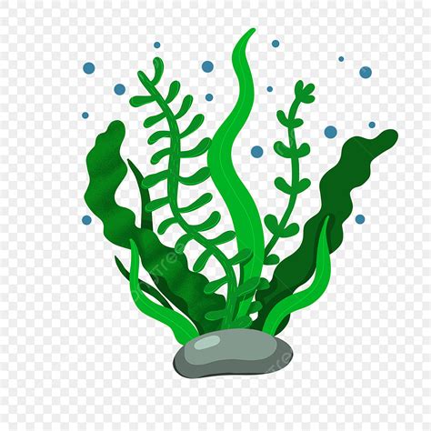 Seaweeds Clipart Black And White Flower