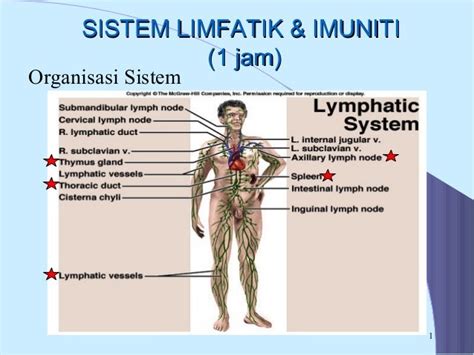 Sistem Limfatikand Imuniti