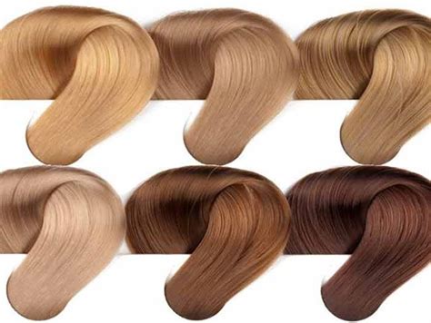 8 Shades Of Golden Blonde Hair Color Golden Blonde Hair Color Hair