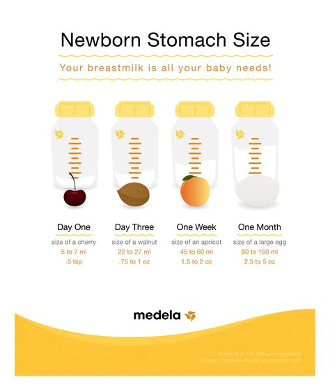 Newborn Stomach Size Chart