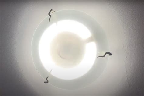 Diy How To Change A Circular Light Bulb Ceiling Overhead Light 22w