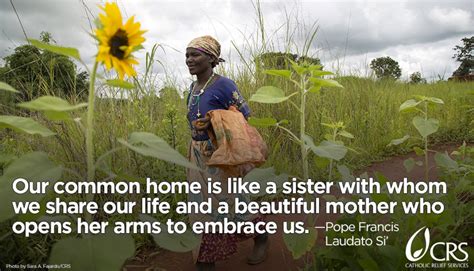 See 10 authoritative translations of sí in english with example sentences and audio pronunciations. Laudato Si' | CRS