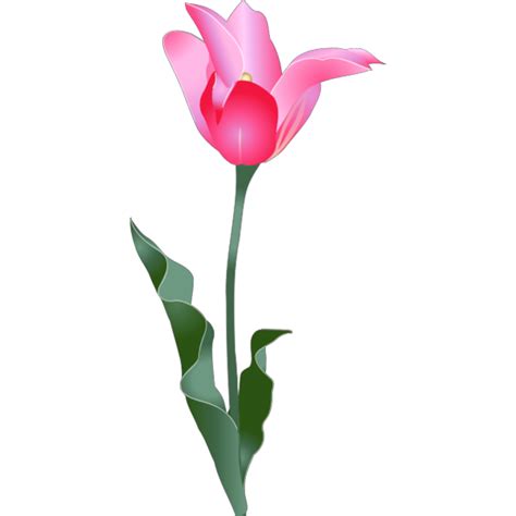 Tulip Bud Png Png Svg Clip Art For Web Download Clip Art Png Icon Arts