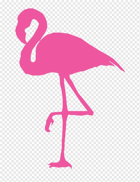 29+ Daftar Gambar Sketsa Burung Flamingo Terbaru | Paperbola