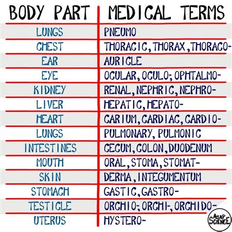 Asapscience “heres A Little Chart To Help You Remember Medical