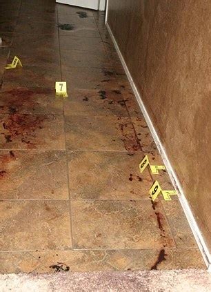 Jodi Arias Trial Shocking And Graphic Photos Of Bloody Crime Scene