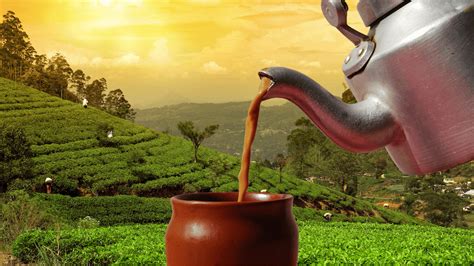 Assam Tea A Quick Guide To This Delightful Black Tea Tea Backyard