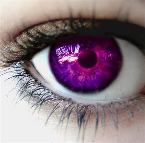 14 Best Purple Eyes Images On Pinterest Beautiful Eyes Gorgeous Eyes