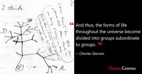 And Thus The Forms Of Life Charles Darwin Quote