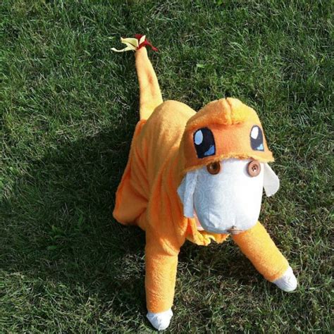 4 Pokemon Dog Costumes For Halloween Catch Em All