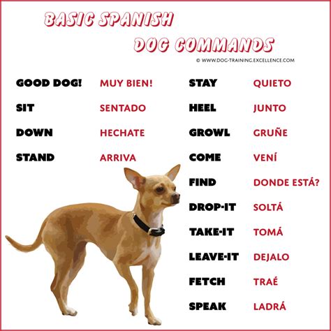 Here's a list of translations. 21 Spanish Dog Commands to Teach your Pet
