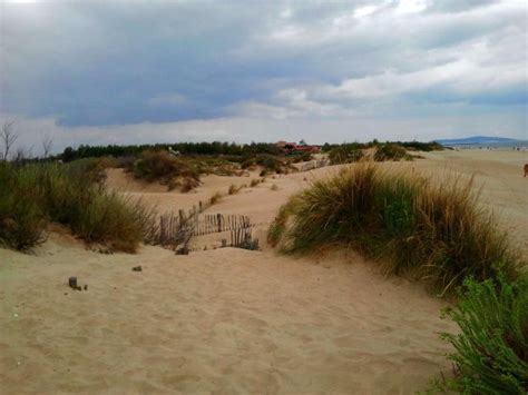 cap d agde sex in the dunes telegraph