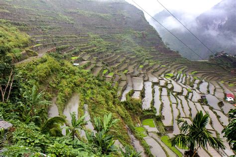 Batad Rice Terraces Banaue The Philippines