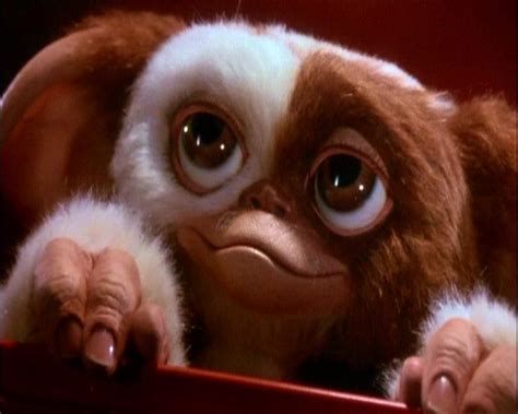 Gizmo Gizmos Pinterest Gremlins 80s Movies And Movie