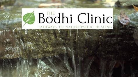 The Bodhi Clinic Pathways To Naturopathic Healing Youtube