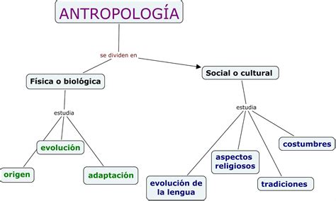 Antropolog A Y Educaci N Ramas De La Antropolog A