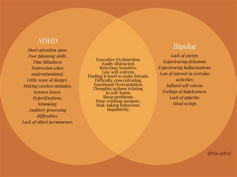 Adhd Vs Bipolar Disorder Infograph Hot Sex Picture