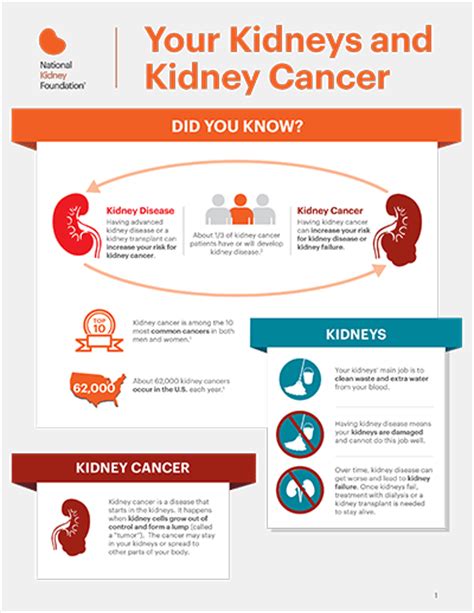 How To Prevent Or Solve Kidney Problems Recognizing Kidney Cancer