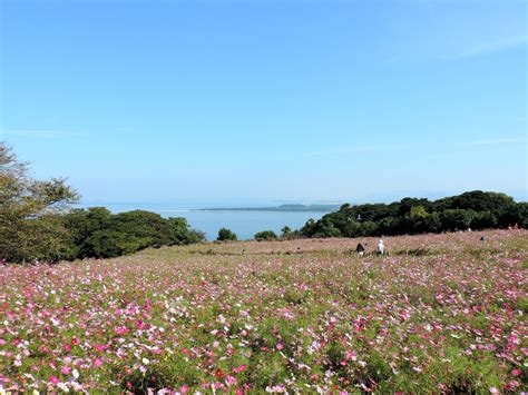 Beautiful Vistas At Nokonoshima Island Park In Fukuoka Japan Claras