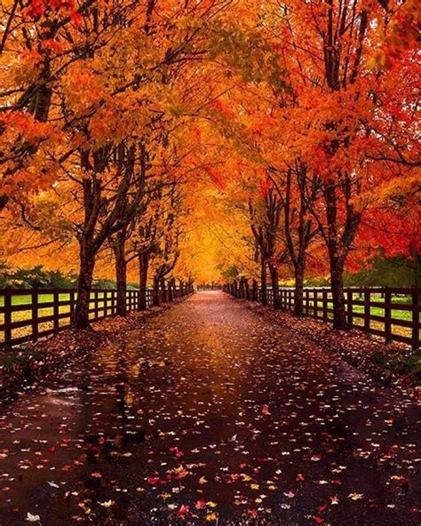 Pin By Becky Cagwin On Seasons Amazing Autumn Autumn Scenery Autumn