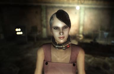 Fallout New Vegas Character Overhaul Ttw Dfpor