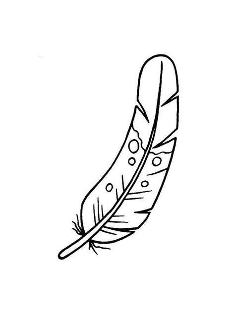 Feathers Coloring Pages