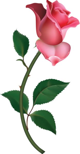 Long Stem Rose Clipart Free Download On Clipartmag