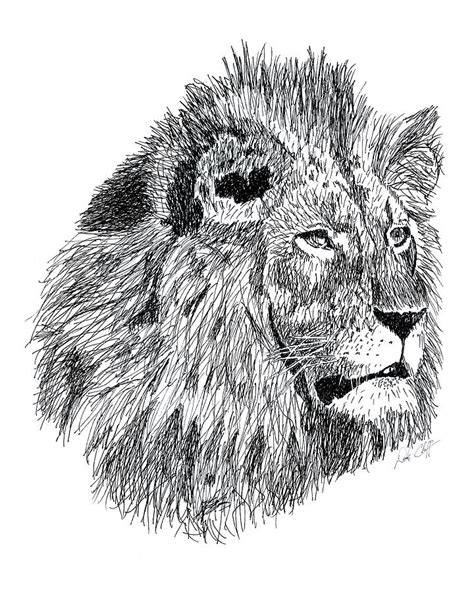 Lion Ink Drawing Drawing By Dsc Arts