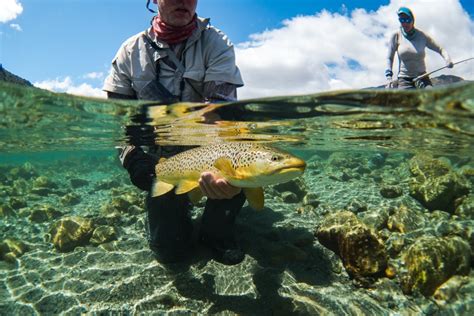 Queenstown Fly Fishing Expeditions New Zealand