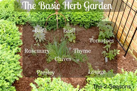Basic Herb Garden