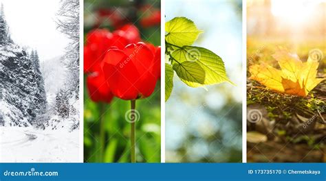 Beautiful Photos Of Nature Four Seasons Collage Stock Photo Image Of