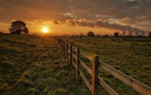 The, Fence, Separates, The, Pasture, From, Wild, Animals, The