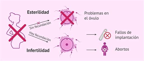 Diferencias Entre Infertilidad Y Esterilidad En La Mujer