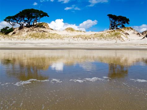 Coastal Sand Dune Reflections On Beach At Low Tide Stock Photo Image