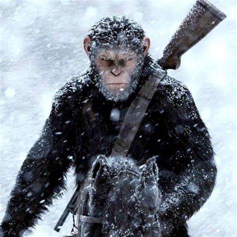 The third in the new series of features derived from planet of the apes, matt reeves's film is unusually brave for a megabudget franchise entertainment. War for the Planet of the Apes: Movie Review