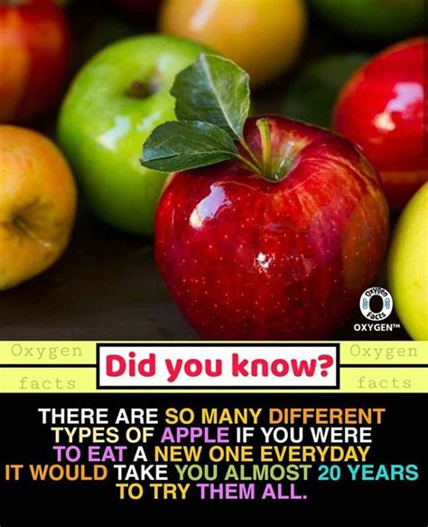 These Facts Did You Know These Most Amazing Facts About Knowledge Did You Know Facts Fun