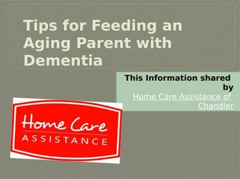 Tips For Feeding An Aging Parent With Dementia