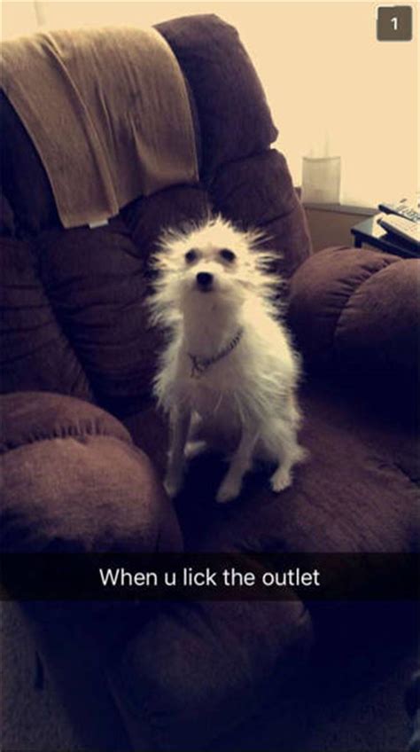 The Funniest Snapchat Moments Youll See All Day 36 Pics