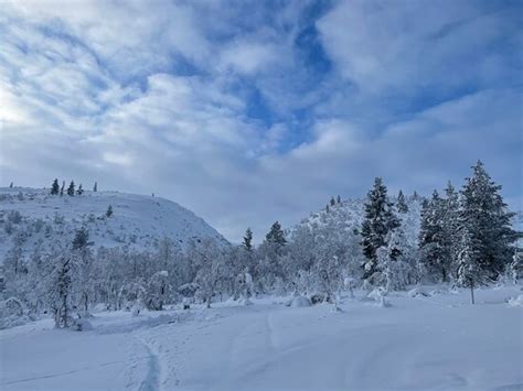 Urho Kekkonen National Park Saariselka 2021 Ce Quil Faut Savoir