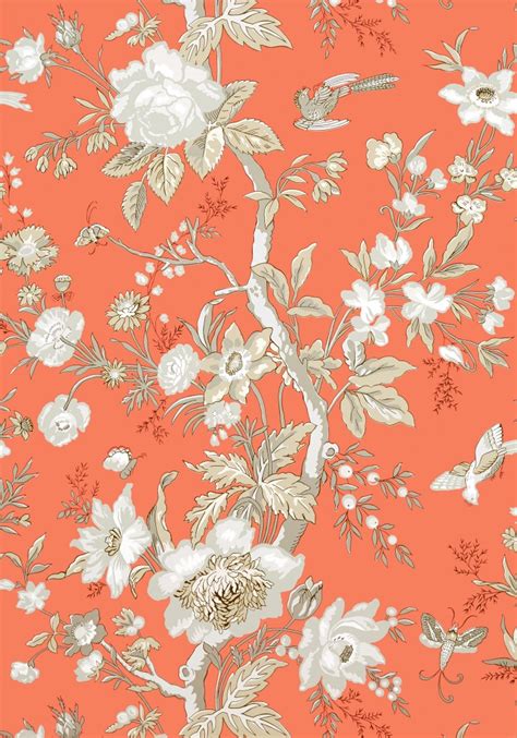 New Wallpaper Introductions Thibaut Enchantment Collection The